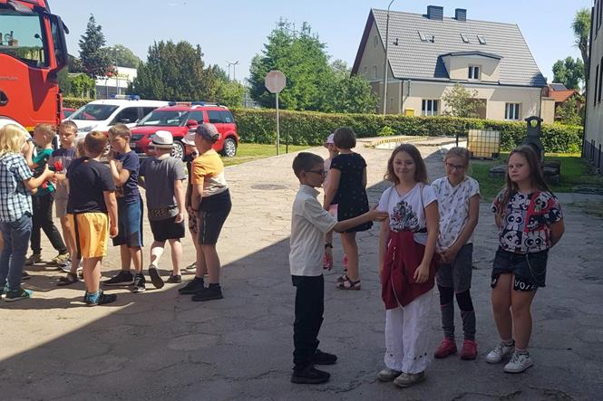 kino pila placzek8 2023.jpg