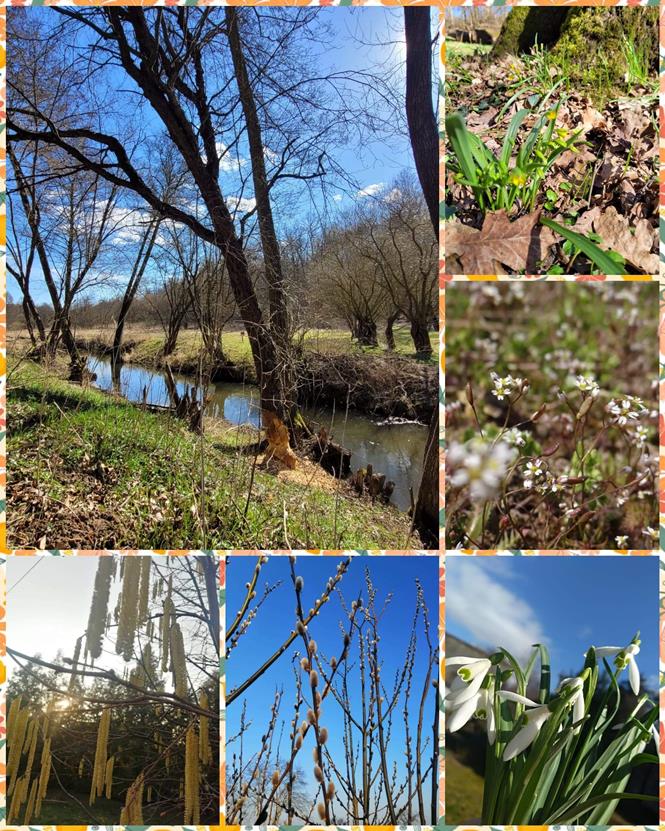 konkurs wiosnaSU4 2021.jpg