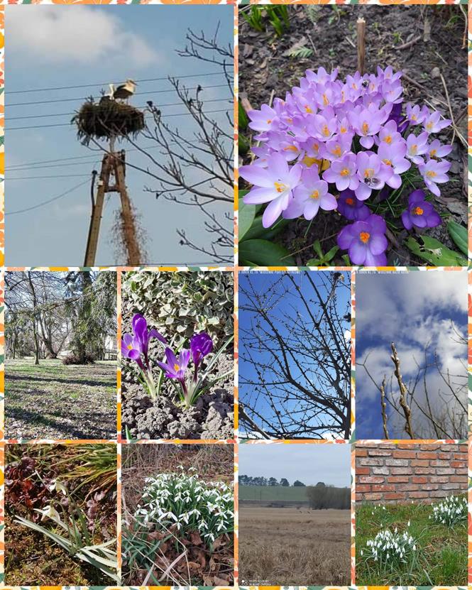 konkurs wiosnaSU5 2021.jpg