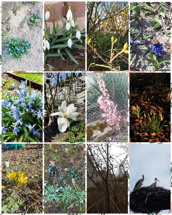 konkurs wiosnaSU6 2021.jpg