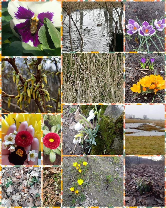 konkurs wiosnaSU7 2021.jpg