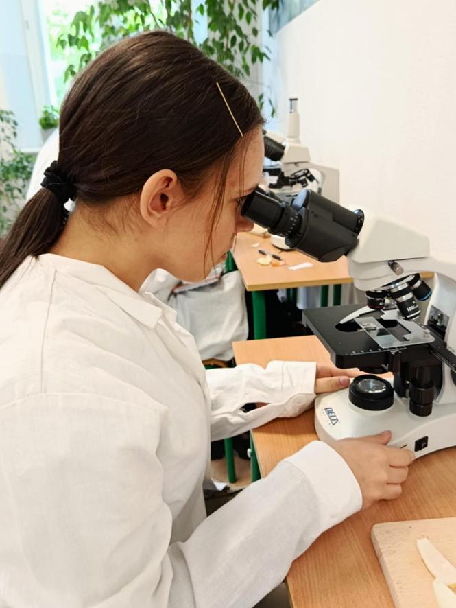 laborator cwicz4 2025.jpg