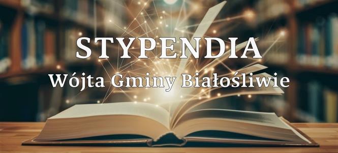 stypendia wojtaJL 2024.jpg